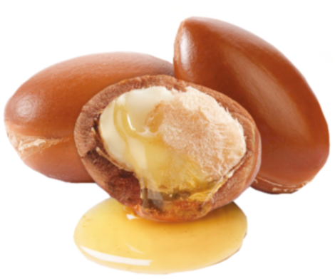 Sastojci koji ce vam pomoci u oporavku kose posle letovanja