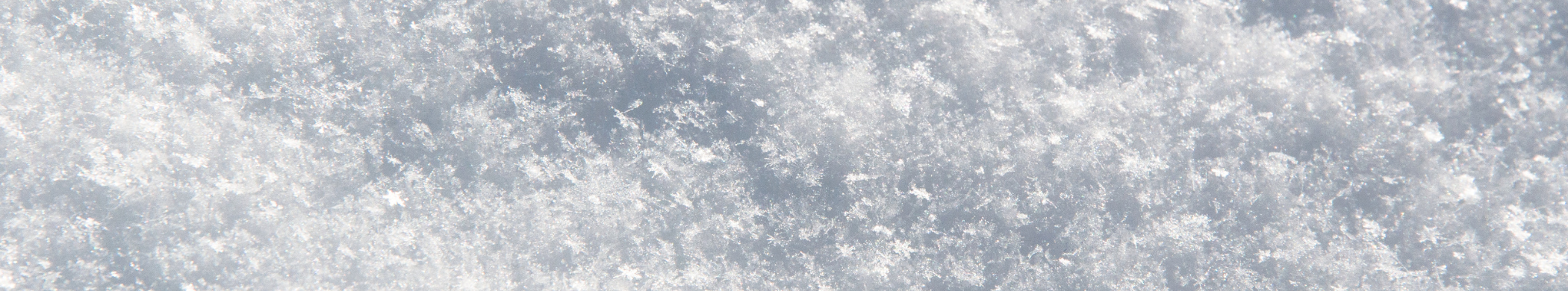 nega kose tokom zimovanja