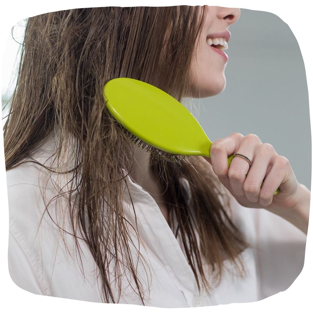 Wet_Brush_Model