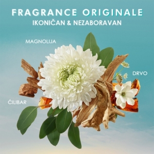 Moroccanoil Gel za tuširanje originalna mirisna nota Moroccanoil Gel za tuširanje originalna mirisna nota